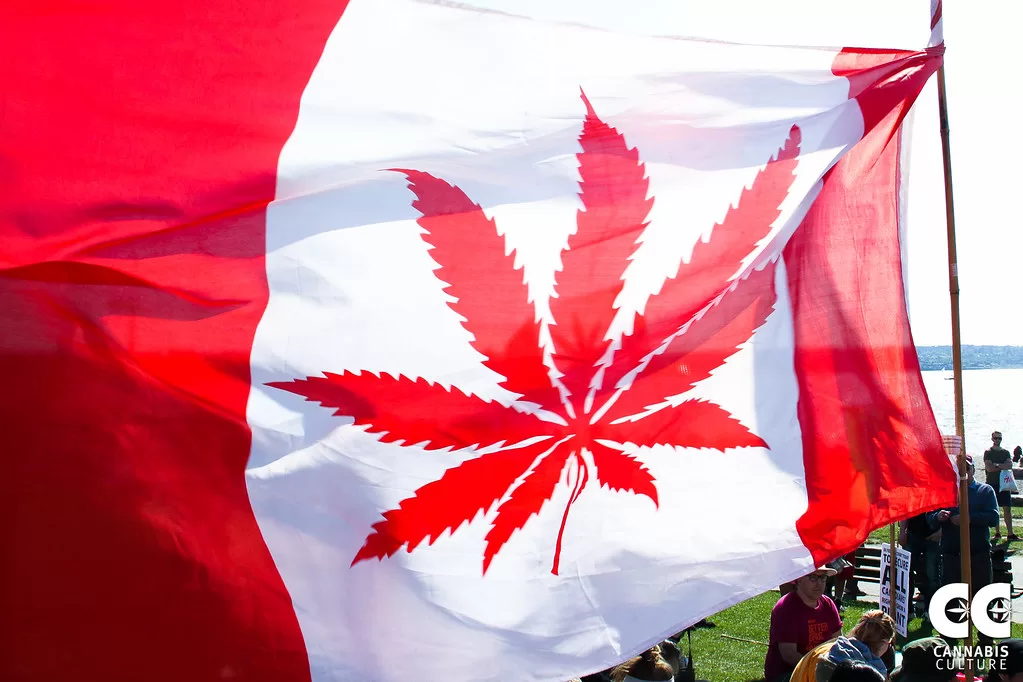 Canadian cannabis